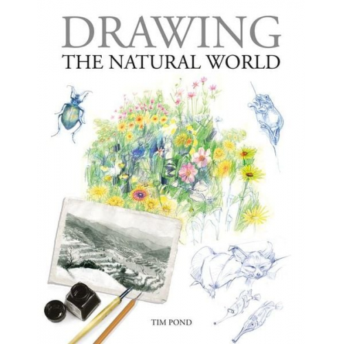 Tim Pond - Drawing the Natural World