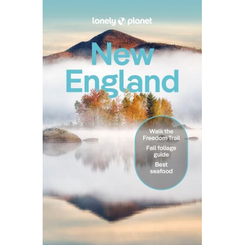 Lonely Planet Regis St Louis Clark Gregor Gibb David Britany Robinson - Lonely Planet New England