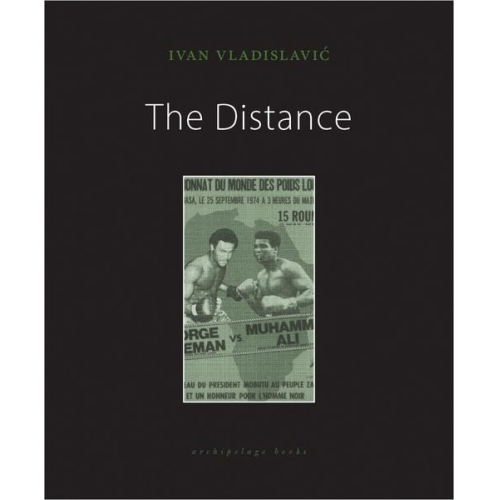 Ivan Vladislavic - The Distance