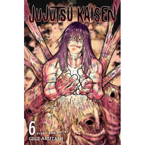 Gege Akutami - Jujutsu Kaisen, Vol. 6