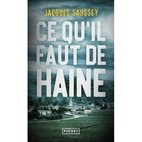 Jacques Saussey - Ce qu'il faut de haine