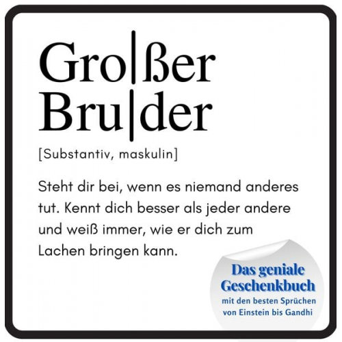 Steffi Meier - Großer Bruder