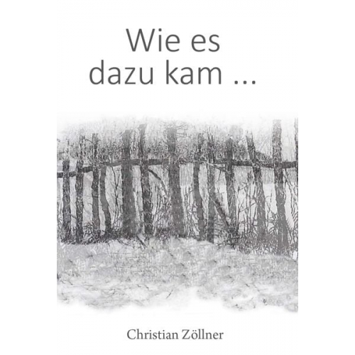 Christian Zöllner - Wie es dazu kam ...