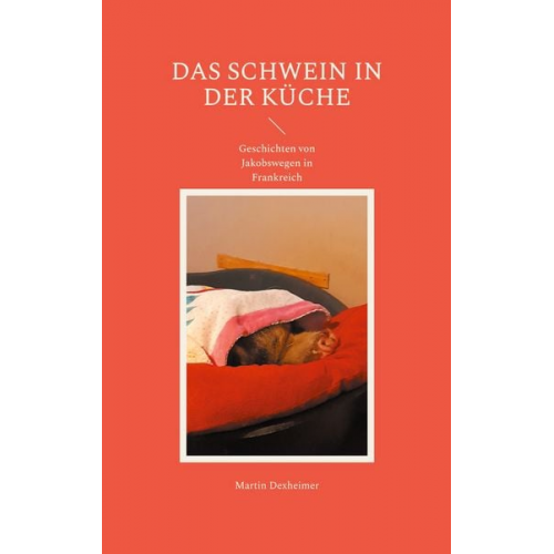 Martin Dexheimer - Das Schwein in der Küche