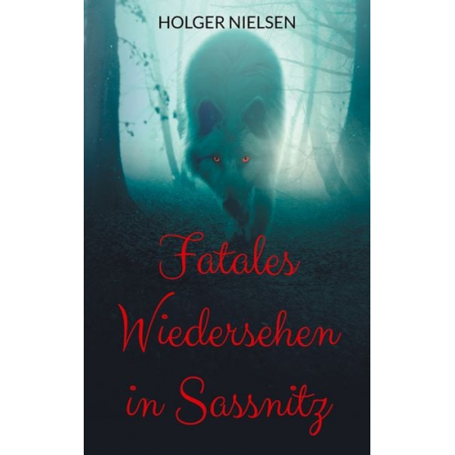 Holger Nielsen - Fatales Wiedersehen in Sassnitz