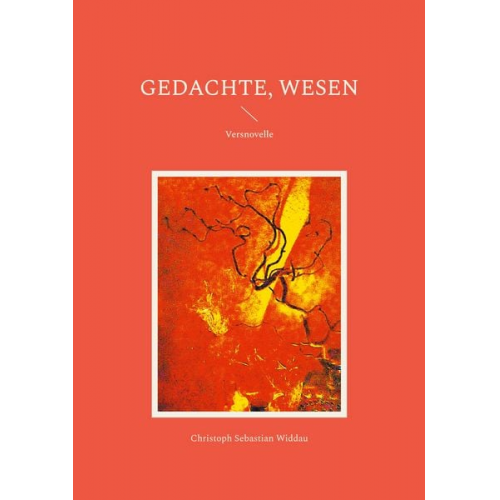 Christoph Sebastian Widdau - Gedachte, Wesen