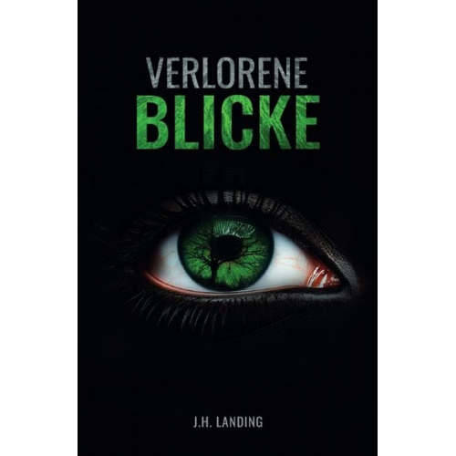 J.H. Landing - Verlorene Blicke