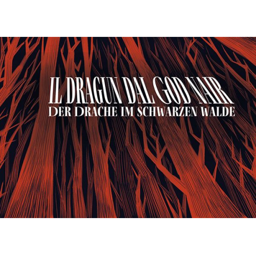 Clara Hagmann - Il dragun dal God nair – Der Drache im Schwarzen Walde