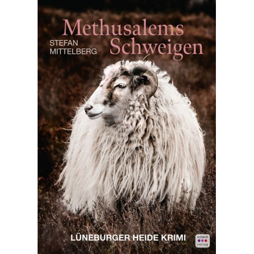 Stefan Mittelberg - Methusalems Schweigen