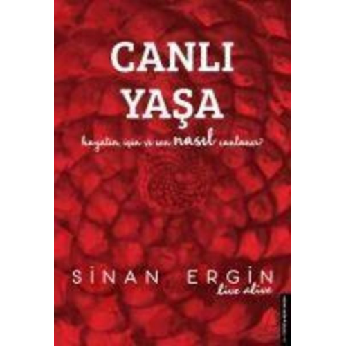 Sinan Ergin - Canli Yasa