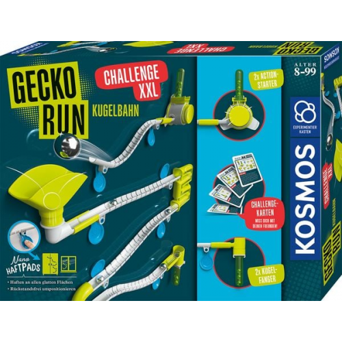 Gecko Run Challenge XXL