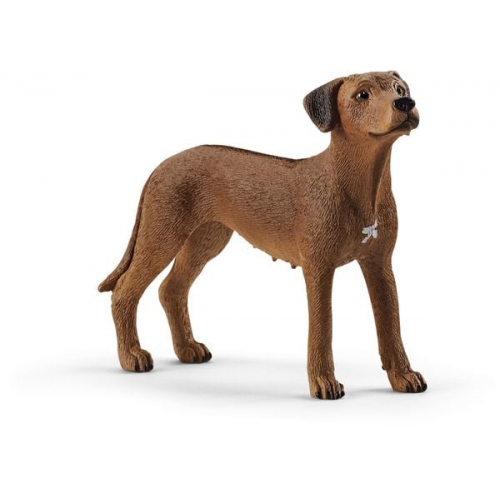 Schleich - Farm World - Rhodesian Ridgeback