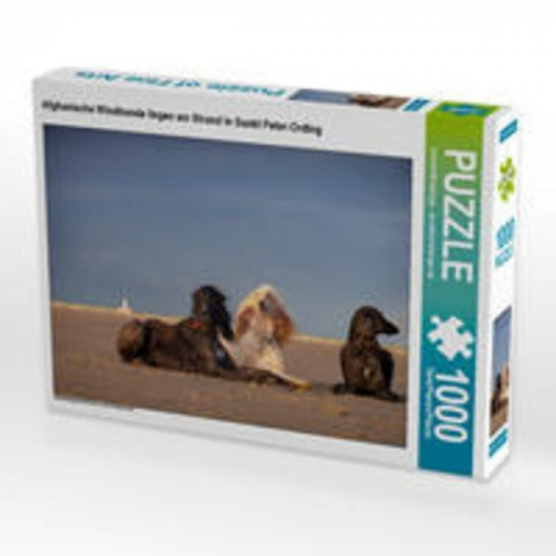 CALVENDO Puzzle Afghanische Windhunde liegen am Strand in Sankt Peter-Ording | 1000 Teile Lege-Größe 64x48cm Foto-Puzzle für glückliche Stunden