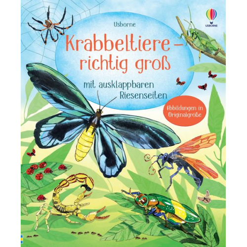 Krabbeltiere - richtig groß