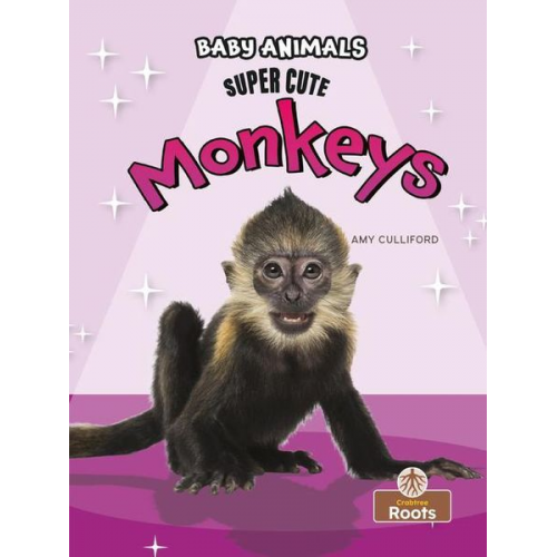 Amy Culliford - Super Cute Monkeys