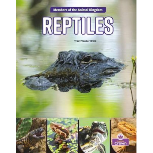 Tracy Vonder Brink - Reptiles