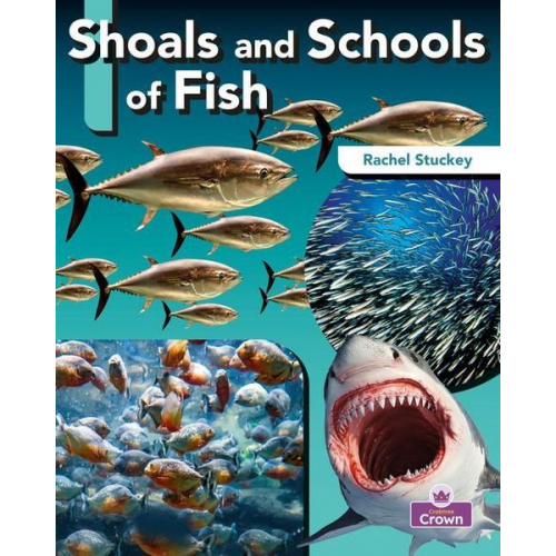 Rachel Stuckey - Shoals and Schools of Fish