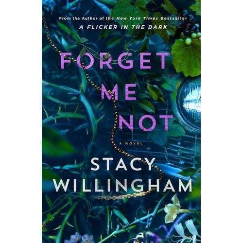 Stacy Willingham - Forget Me Not