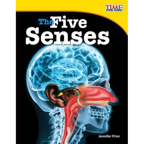 Jennifer Prior - The Five Senses