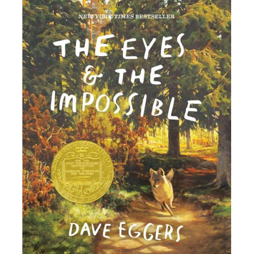 Dave Eggers - The Eyes and the Impossible