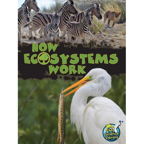 Julie K. Lundgren - How Ecosystems Work