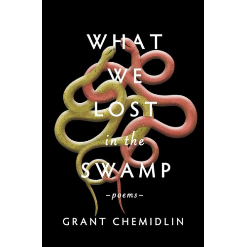 Grant Chemidlin - What We Lost in the Swamp