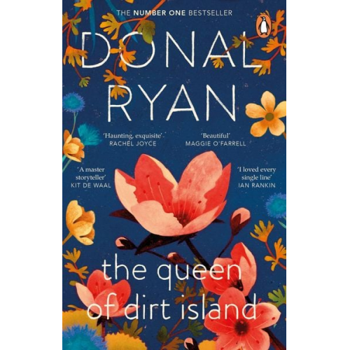 Donal Ryan - The Queen of Dirt Island