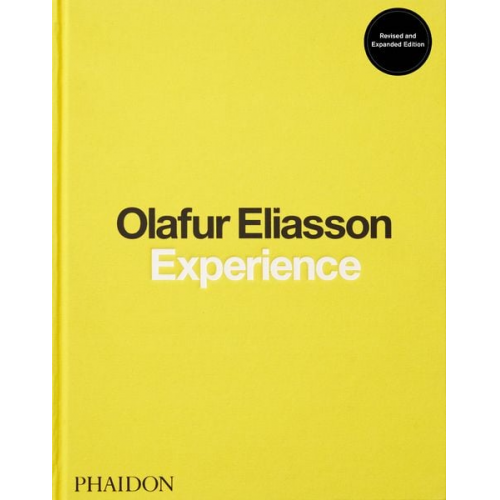 Olafur Eliasson Michelle Kuo Anna Engberg-Pedersen - Olafur Eliasson, Experience