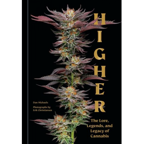 Dan Michaels - Higher