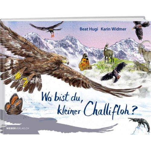 Beat Hugi - Wo bist du, kleiner Challifloh?