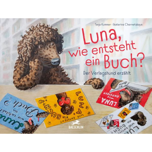 Tanja Kummer - Luna, wie entsteht ein Buch?