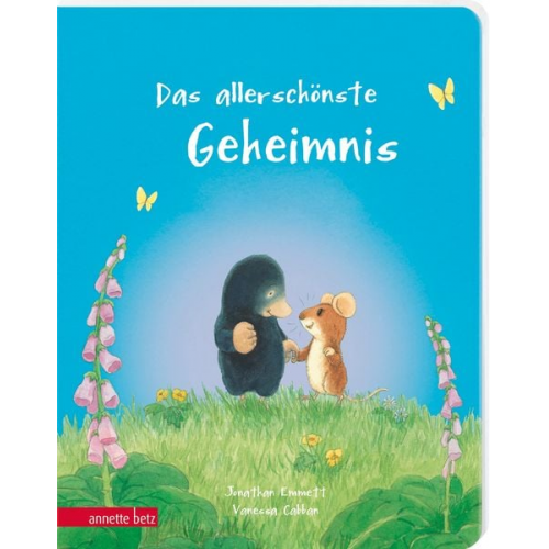 Jonathan Emmett - Das allerschönste Geheimnis - Ein liebevolles Pappbilderbuch über Freundschaft