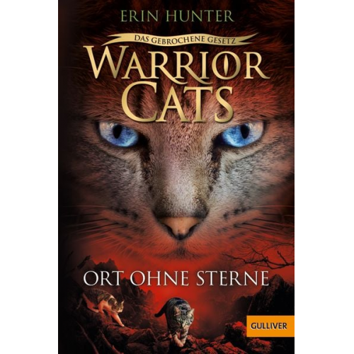 Erin Hunter - Warrior Cats - Das gebrochene Gesetz. Ort ohne Sterne