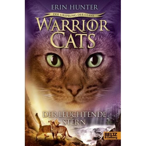 Erin Hunter - Der Leuchtende Stern / Warriors Cats - Der Ursprung des Clans Band 4