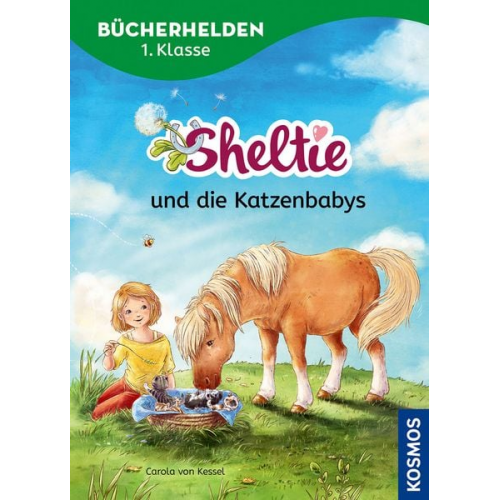 Carola Kessel - Sheltie, Bücherhelden 1. Klasse, Sheltie und die Katzenbabys