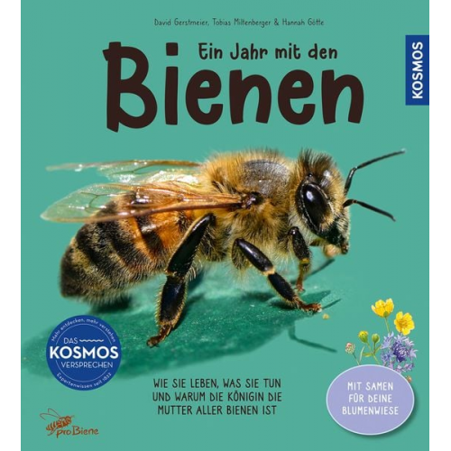 Tobias Miltenberger David Gerstmeier - Ein Jahr mit den Bienen