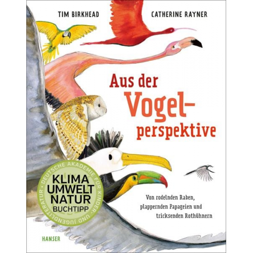 Tim Birkhead Catherine Rayner - Aus der Vogelperspektive