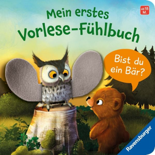 Kathrin Lena Orso - Mein erstes Vorlese-Fühlbuch: Bist du ein Bär? Eine erste Geschichte mit Fühlteilen für Kinder ab 18 Monaten, Kinderbuch