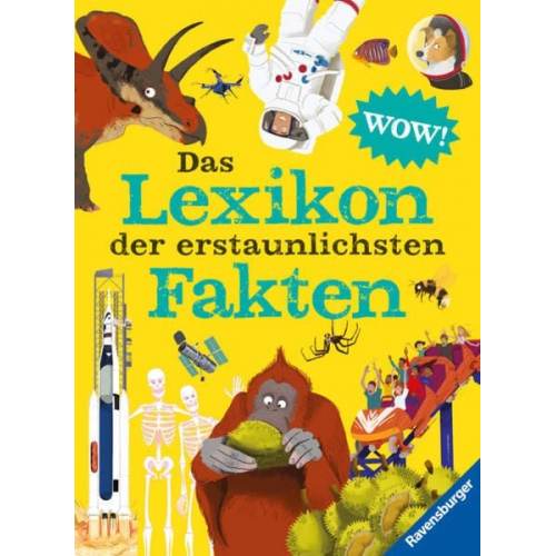 Jacqueline McCann Camilla de la Bédoyère Andrea Mills - Das Lexikon der erstaunlichsten Fakten - gut recherchiertes, kunterbuntes Kinderlexikon ab 6 Jahre