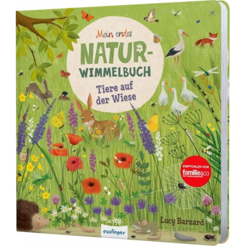 Katharina Lotz - Mein erstes Natur-Wimmelbuch: Tiere auf der Wiese