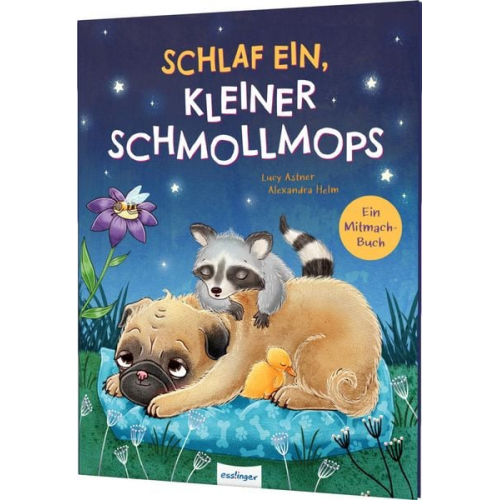 Lucy Astner - Schlaf ein, kleiner Schmollmops