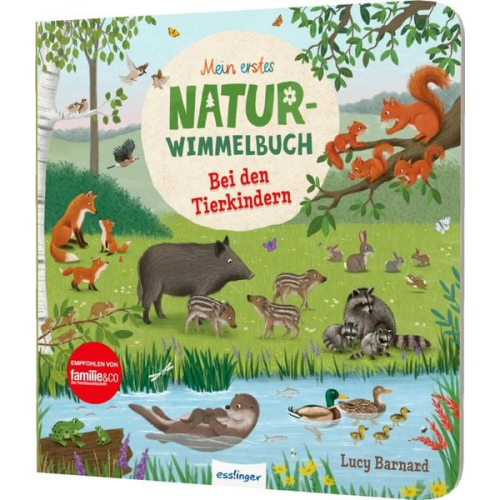 Sibylle Schumann - Mein erstes Natur-Wimmelbuch: Bei den Tierkindern