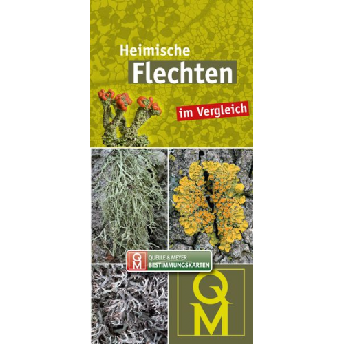 Heimische Flechten