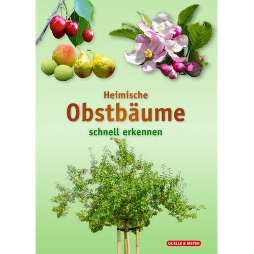 Heimische Obstbäume