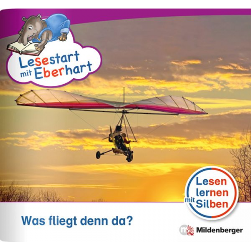 Nicole Brandau Stefanie Drecktrah - Lesestart mit Eberhart: Was fliegt denn da?