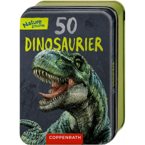 Barbara Wernsing - 50 Dinosaurier