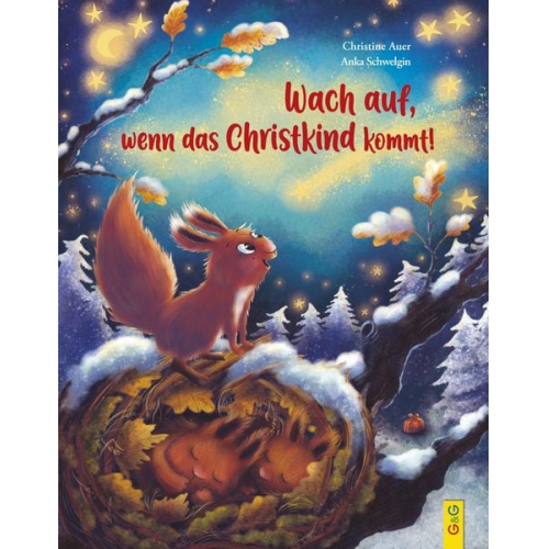 Christine Auer - Wach auf, wenn das Christkind kommt!