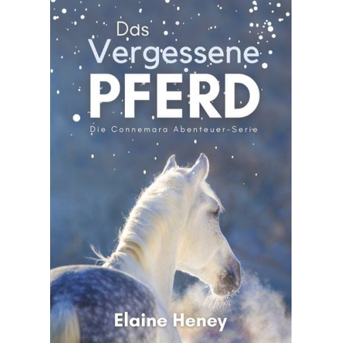 Elaine Heney - Das vergessene Pferd - Die Connemara Abenteuer-Serie