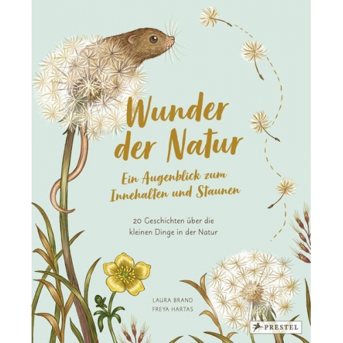 Laura Brand Freya Hartas - Wunder der Natur. Ein Augenblick zum Innehalten und Staunen