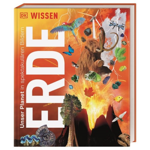 21833 - DK Wissen. Erde